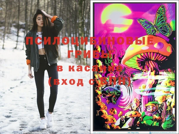гашик Балабаново