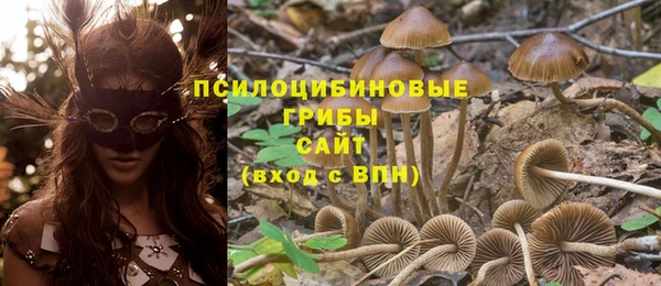 гашик Балабаново