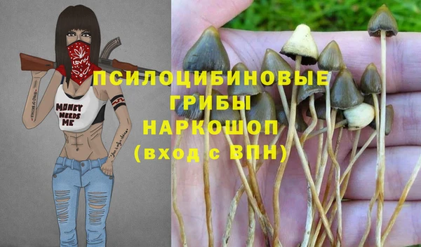 гашик Балабаново